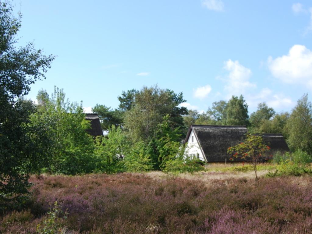 Doppelhaushaelfte In Vitte Auf Hiddensee Dış mekan fotoğraf