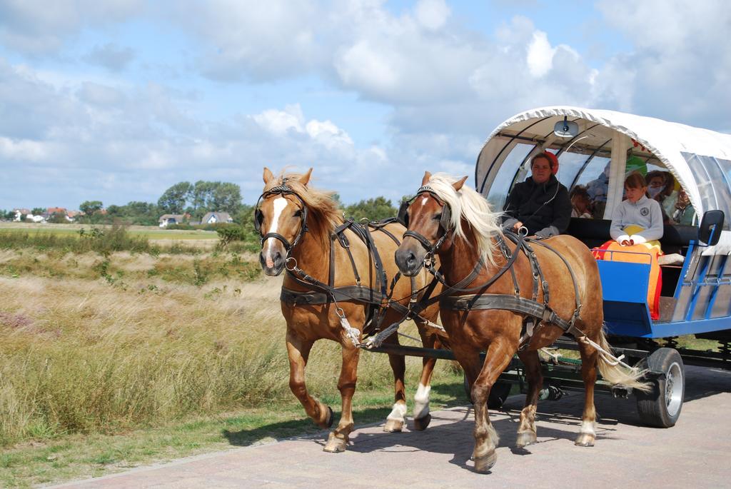 Doppelhaushaelfte In Vitte Auf Hiddensee Dış mekan fotoğraf